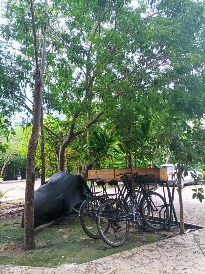 Cozy Condo 1Br Wifi & Gym Tulum Gaia Exterior foto